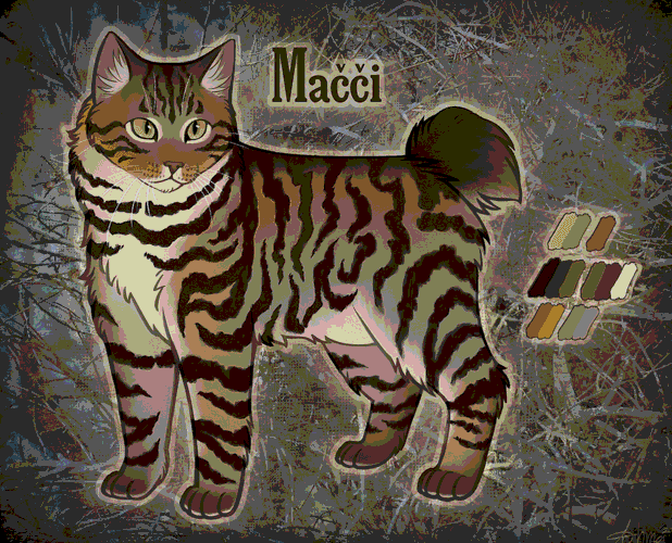 illustration of a bobtailed brown tabby cat